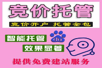 专业sem托管服务案例，揭秘广告投放优化策略